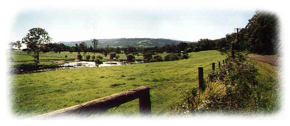 rural scene